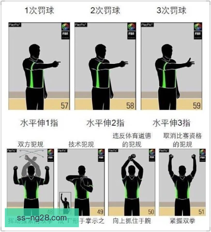 柔术裁判手势有门道，读懂信号才能看懂比赛